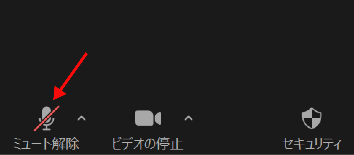 マイクがミュートになっている ってどういうこと？