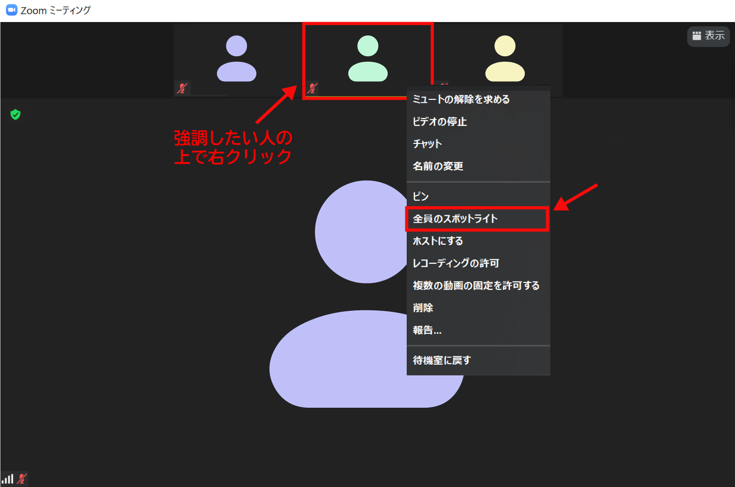 参加者全員に対して特定の人のビデオ画面を大きくするスポットライト機能1