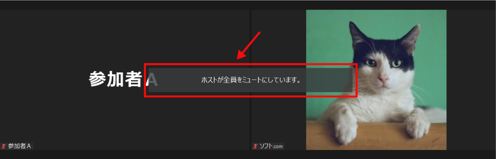 参加者全員を一斉ミュート3